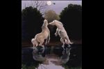 2 Horses